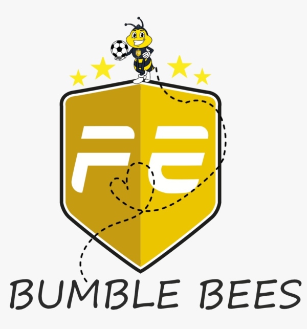 Nine Elms Development Centre (BUMBLE BEES) 5-12 yrs